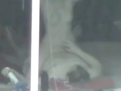 Бармен взяв брюнетку грубо на дивані. порно відео онлайн безкоштовно